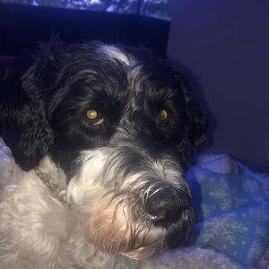 Meet your Posher, Mallory